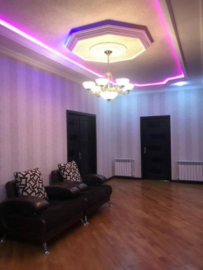 Entire apartment in the city center!